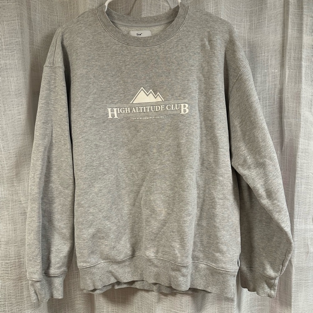 Aritzia crewneck